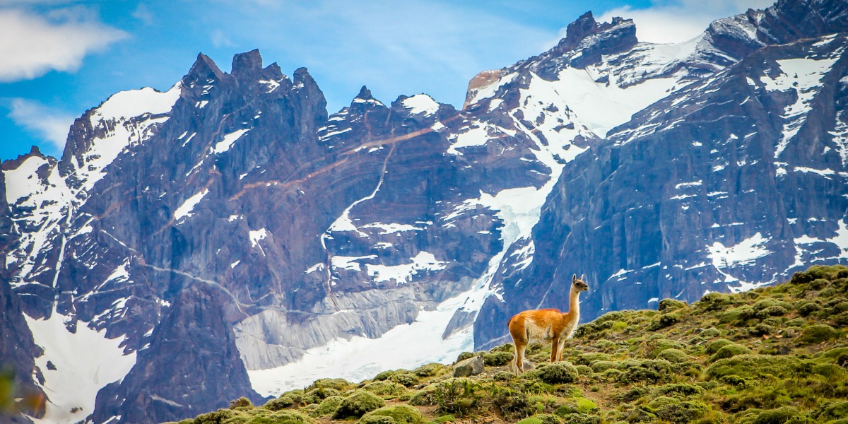 5 amazing international eco-destinations to visit