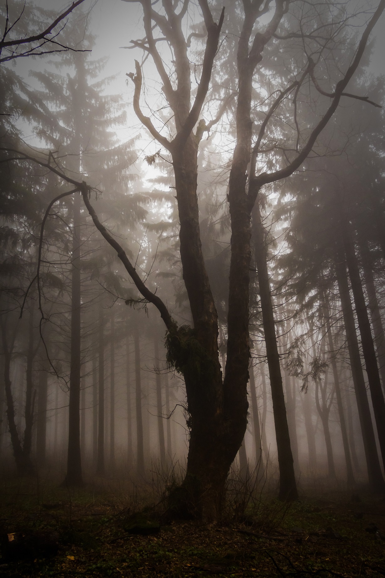 10 Horror Film Locations That You Must Visit