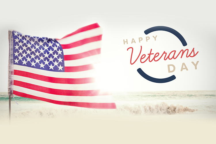 Travel Ideas For Veteran Day