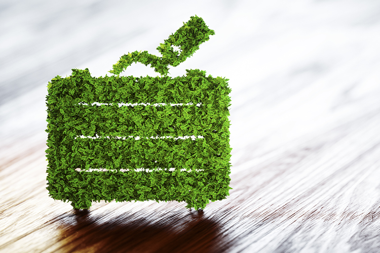 10 Tips For Flying More Eco-Friendly Travel