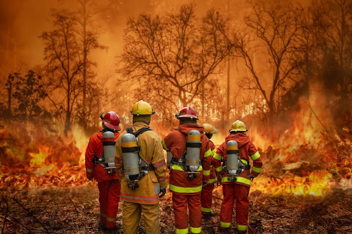 How to Avoid Wildfires – And What to Do If You’re Trapped in One