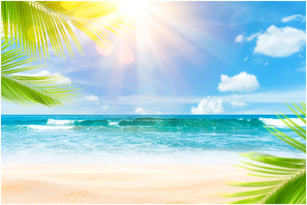 The Best Beaches in the USA & Beyond