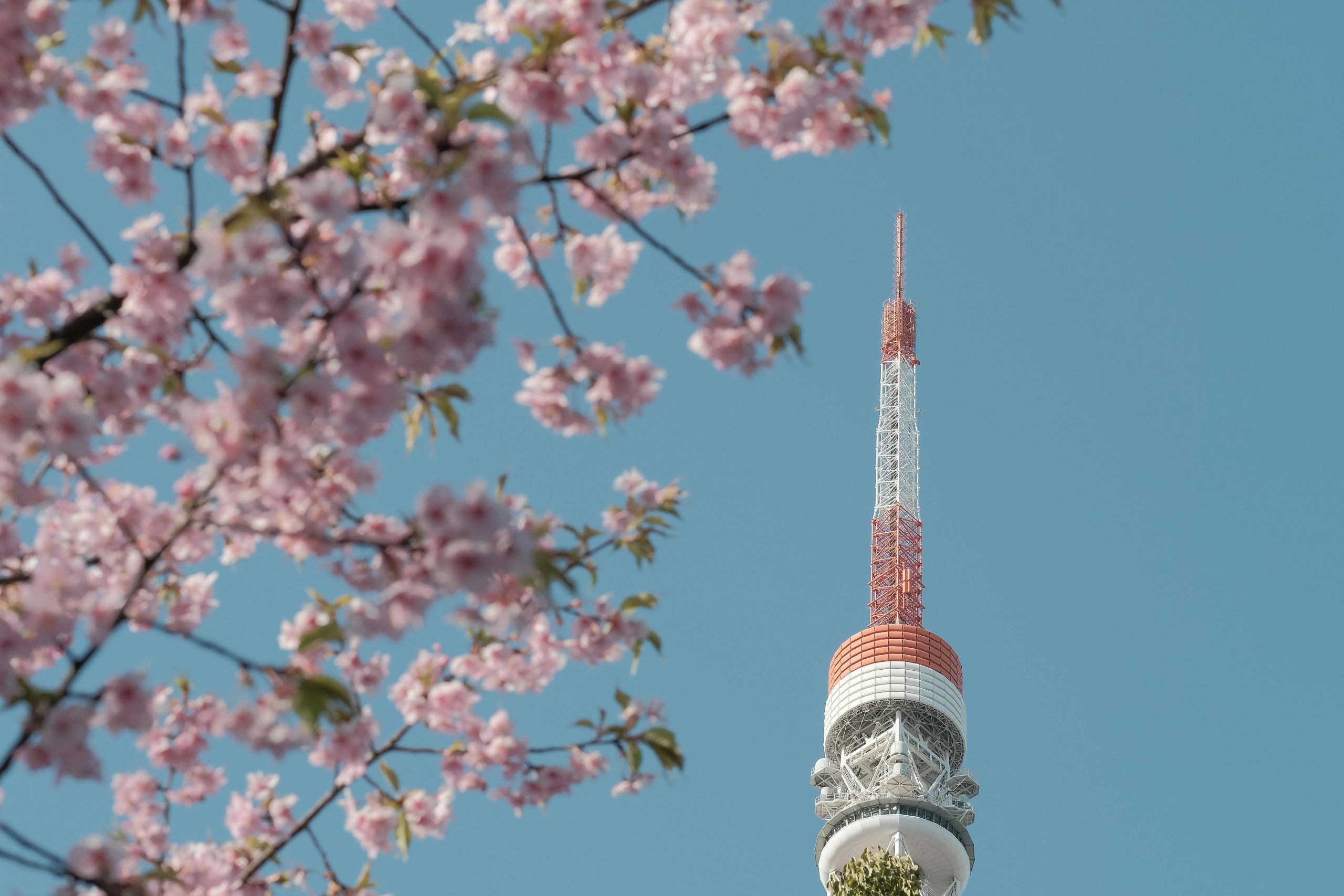 The Ultimate Travel Guide to Tokyo