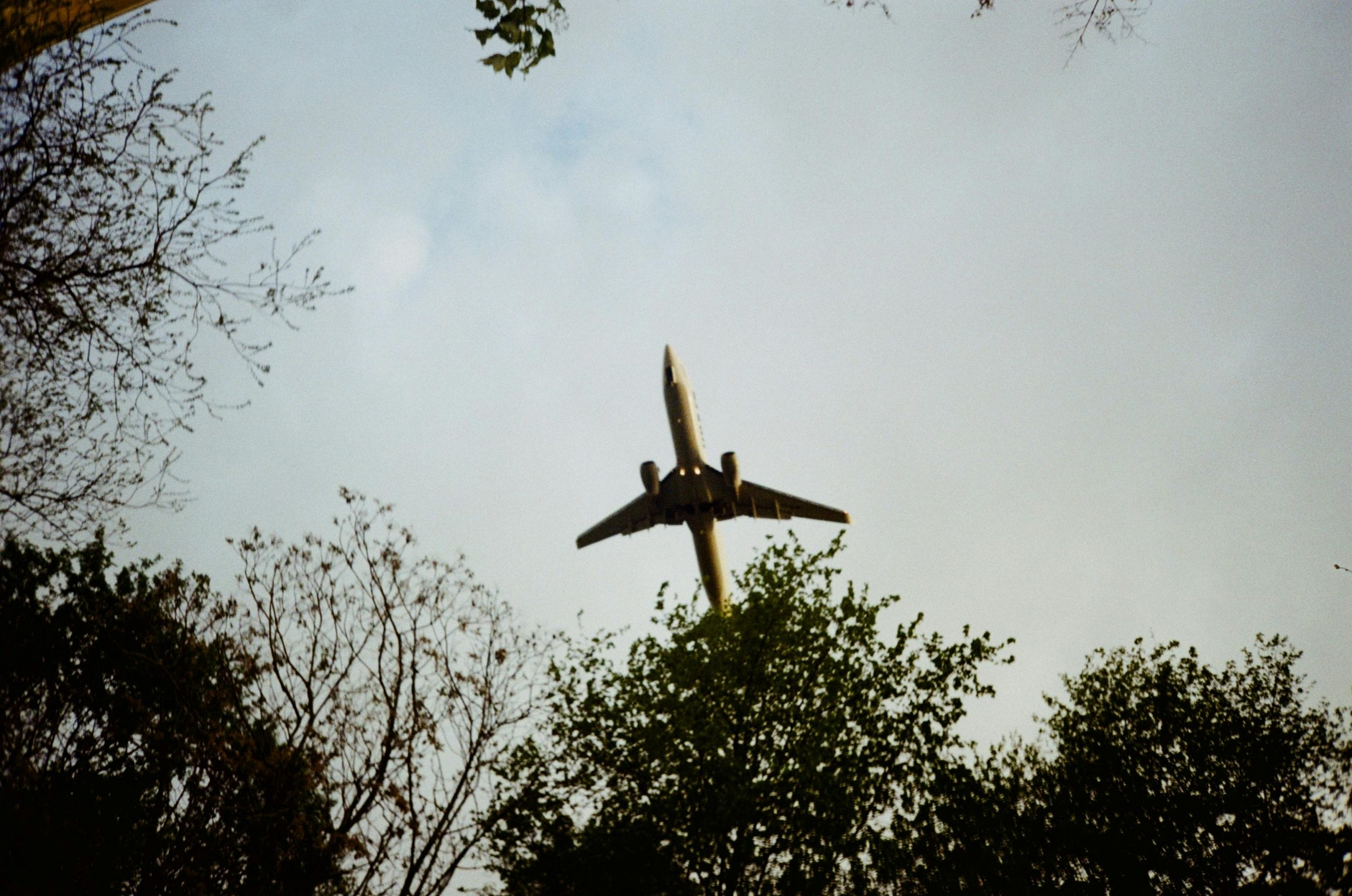 Travel Insurance 101: Do You Need It and What It Covers