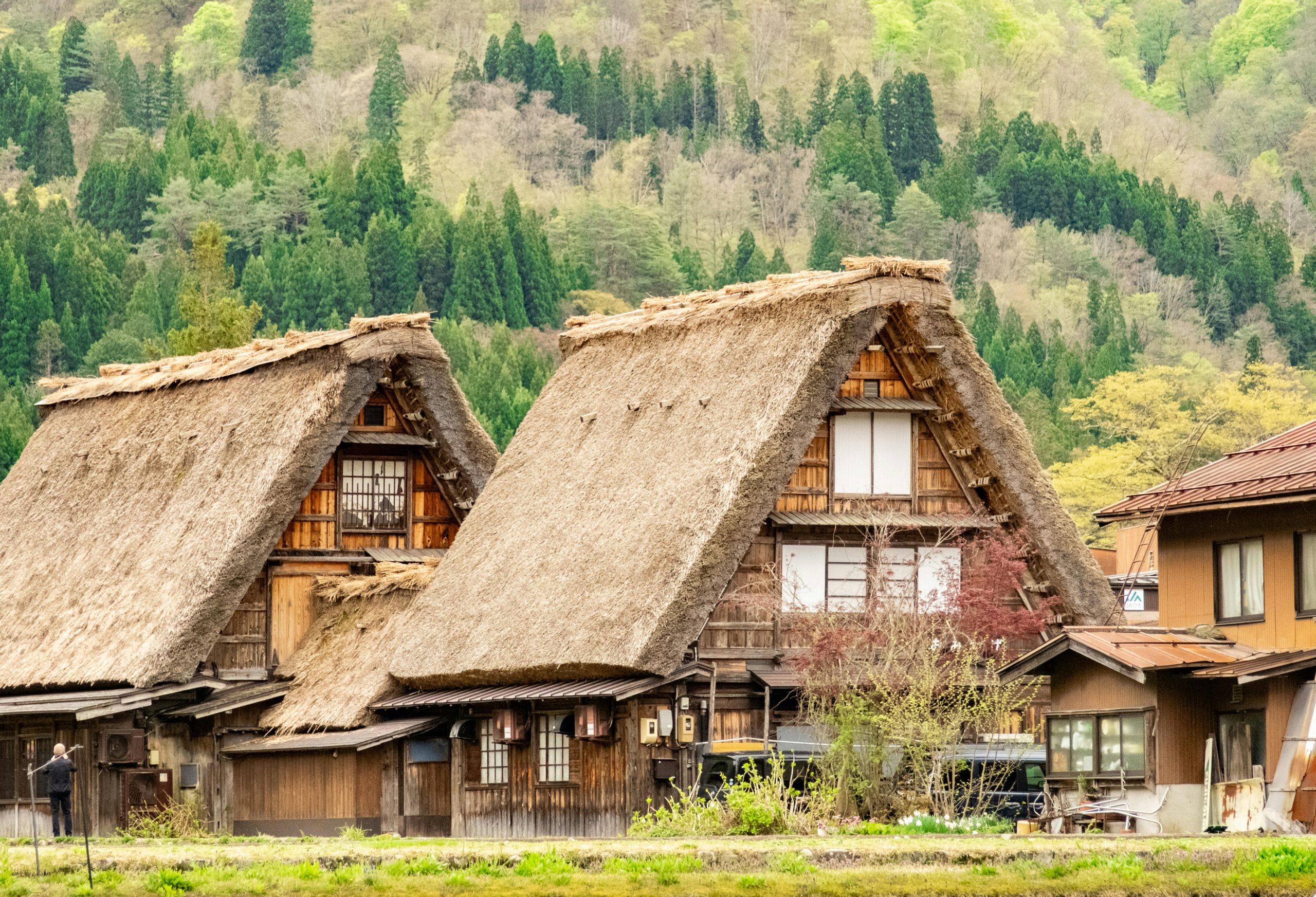 Off the Beaten Path: Exploring Rural Japan Beyond Tokyo & Kyoto