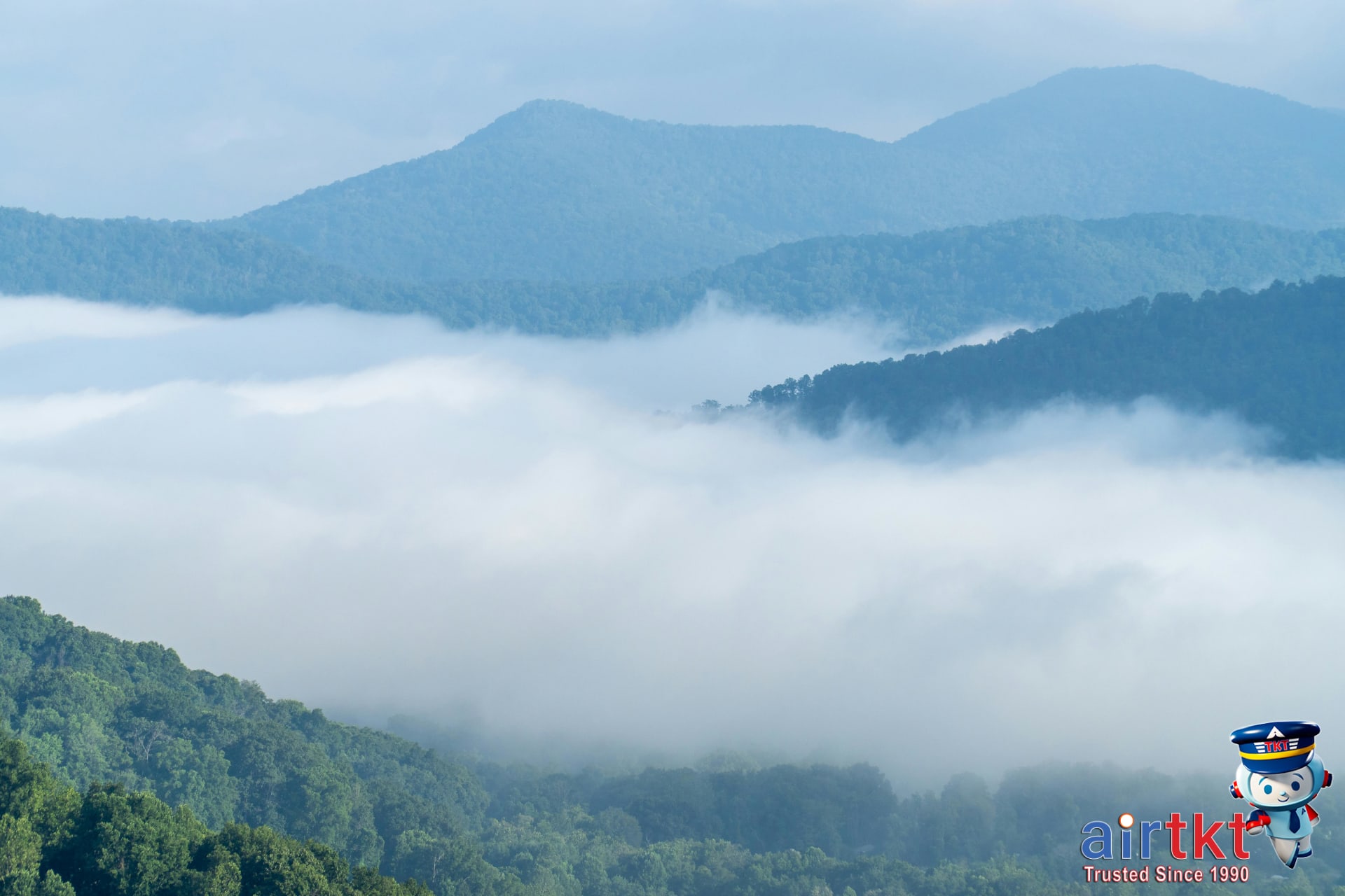 Complete Travel Guide to Asheville: Budget Tips and Top Attractions