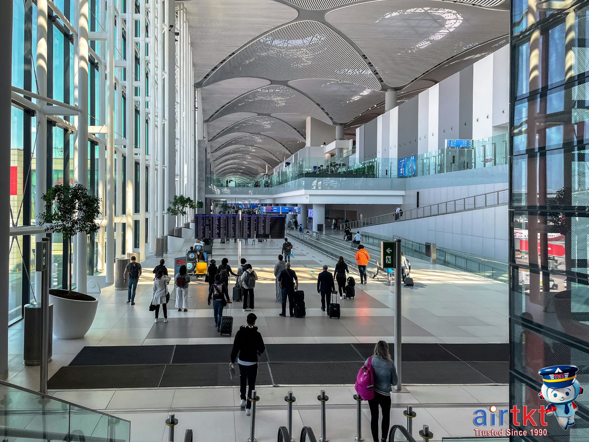 US to Asia Flight Deals: Best Timing and Airlines