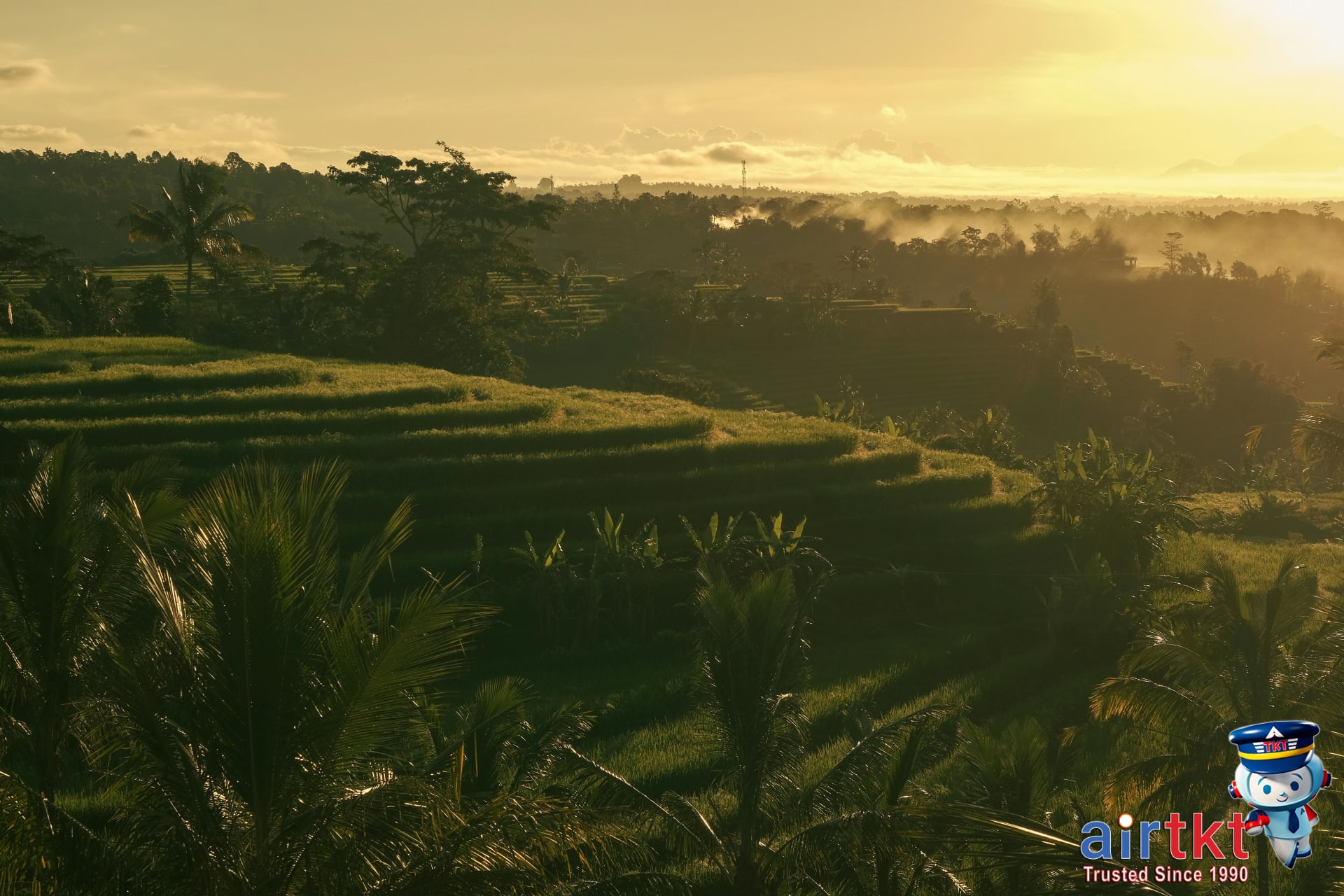 Bali First-Timer's Guide: Essential Tips and Must-Sees