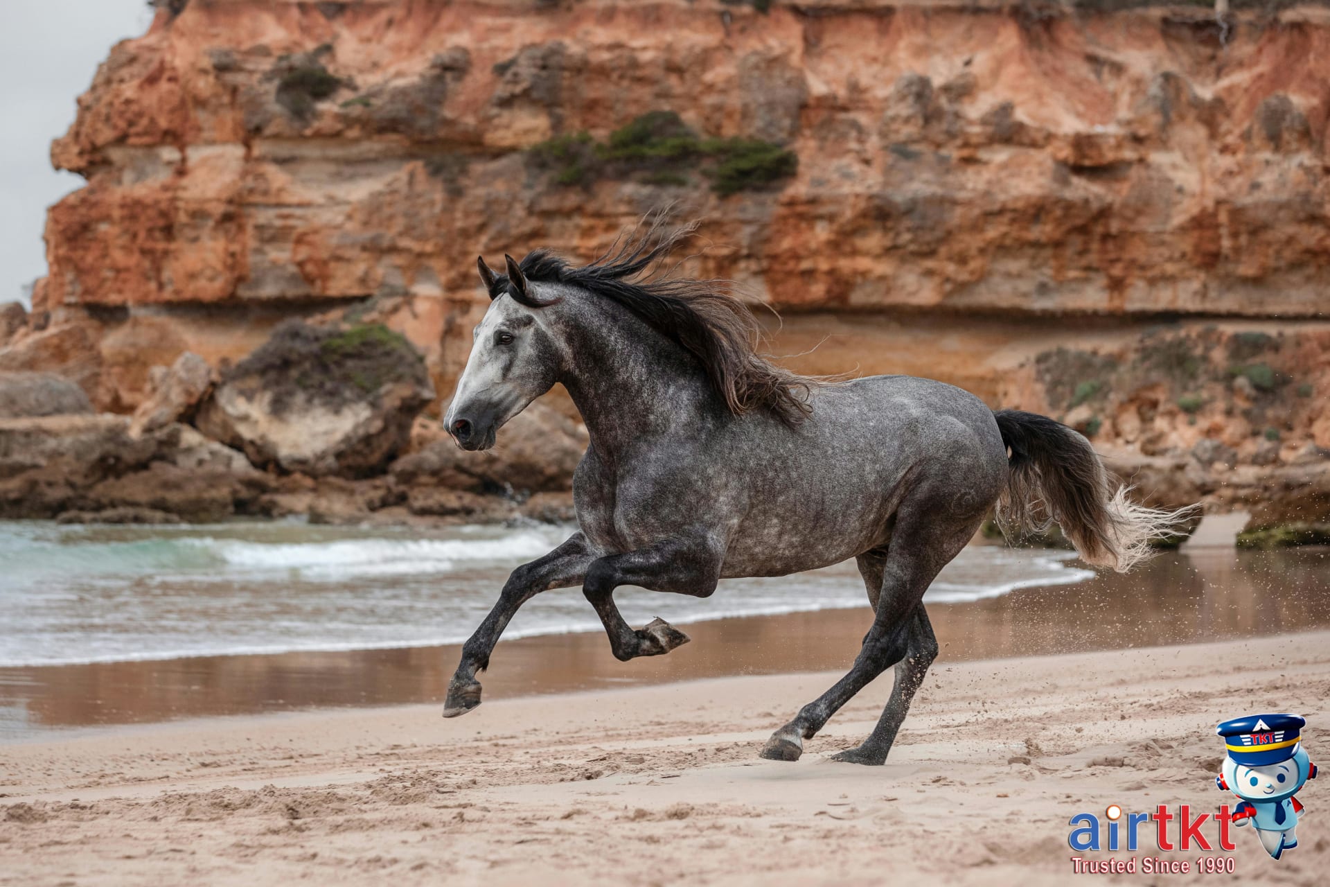 Outer Banks Beach Paradise: Wild Horses and Tall Lighthouses
