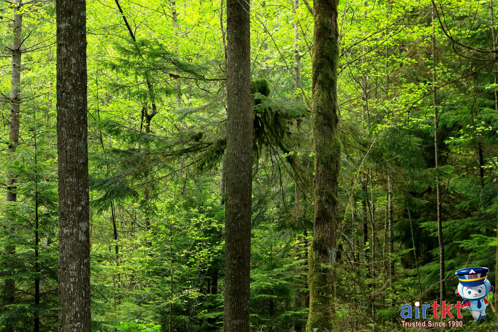 Earth Day Travel: Top Eco-Tourism Destinations Worth Exploring