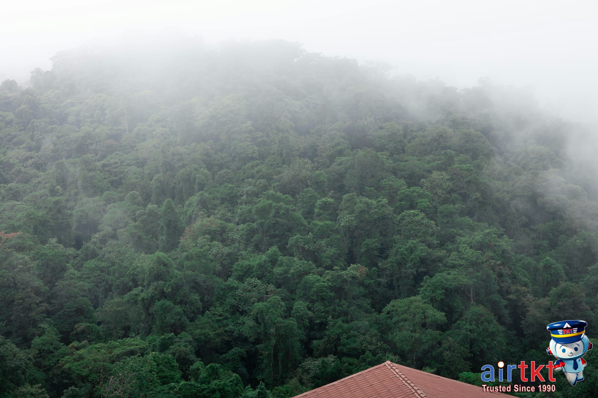Costa Rica's Green Season: Why Rainy Season is Actually Great