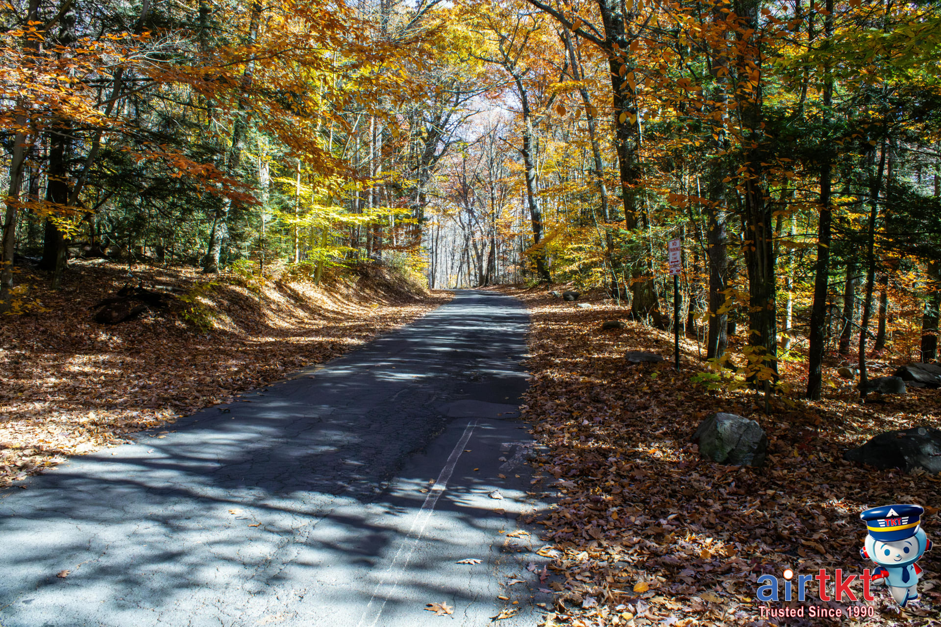 Fall Foliage in New England: Scenic Drives and Leaf-Peeping Towns